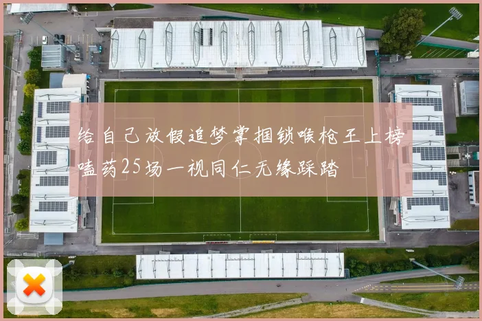 给自己放假追梦掌掴锁喉枪王上榜嗑药25场一视同仁无缘踩踏