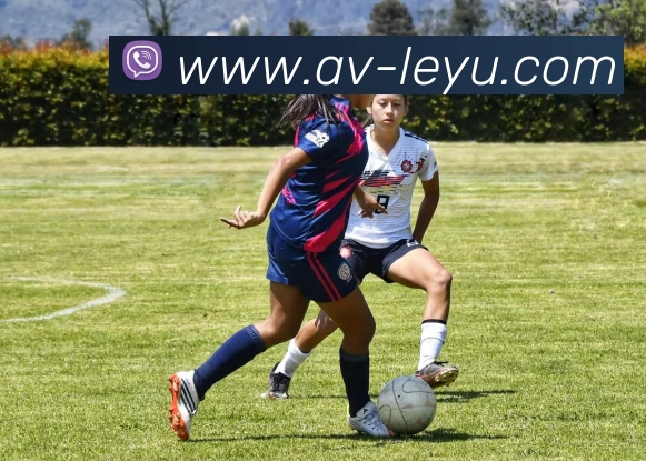 App Interface Preview