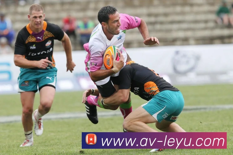 乐鱼体育APP 封面图